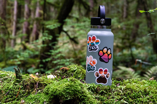 Mountain Sunset Paw Print Sticker | Animal Lover | Matte