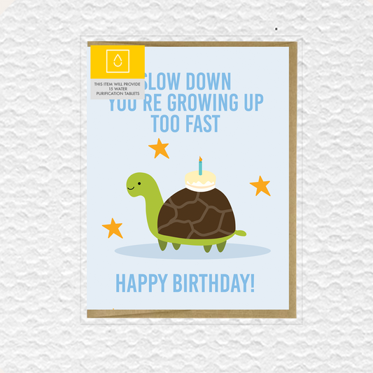 Slow Down Turtle Birthday Greeting Card