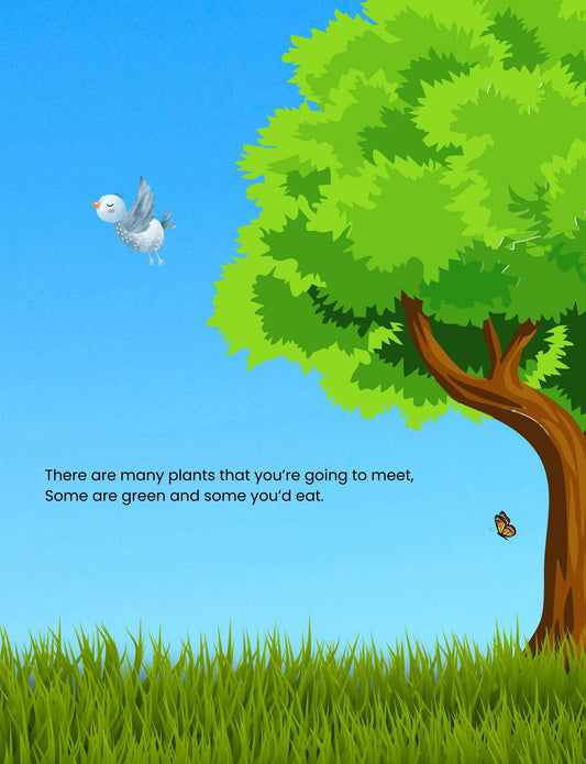 Hello Plants- Educational Colouring Book.