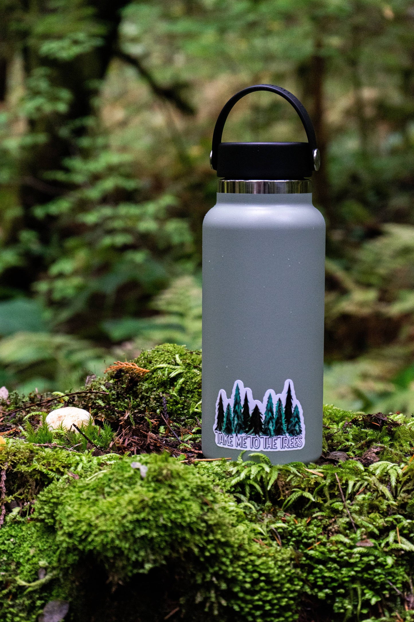Take Me To The Trees Sticker | Nature Sticker | Hiking