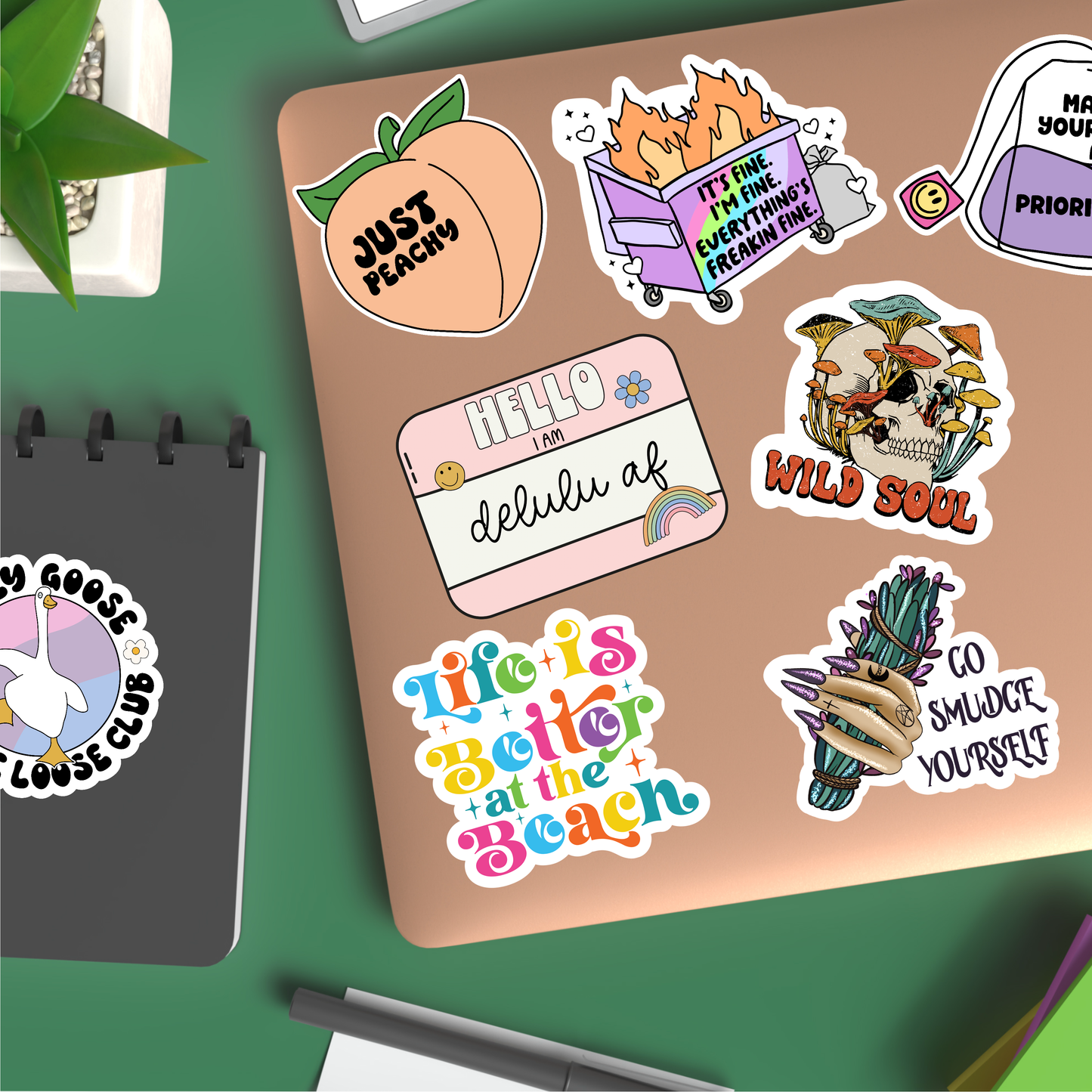 Be kind to our planet vinyl sticker, earth day merch