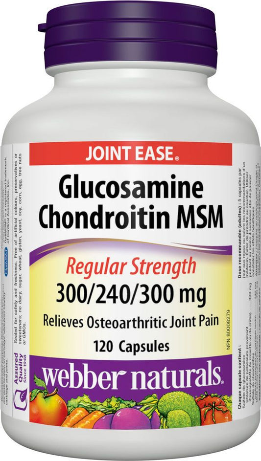 GLUCOSAMINE CHONDROITIN MSM