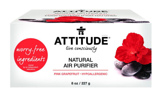 NATURAL AIR PURIFIER