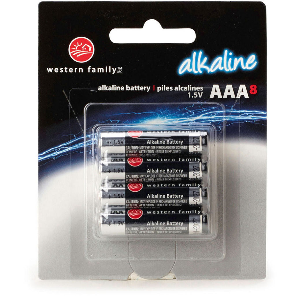 AAA BATTERIES