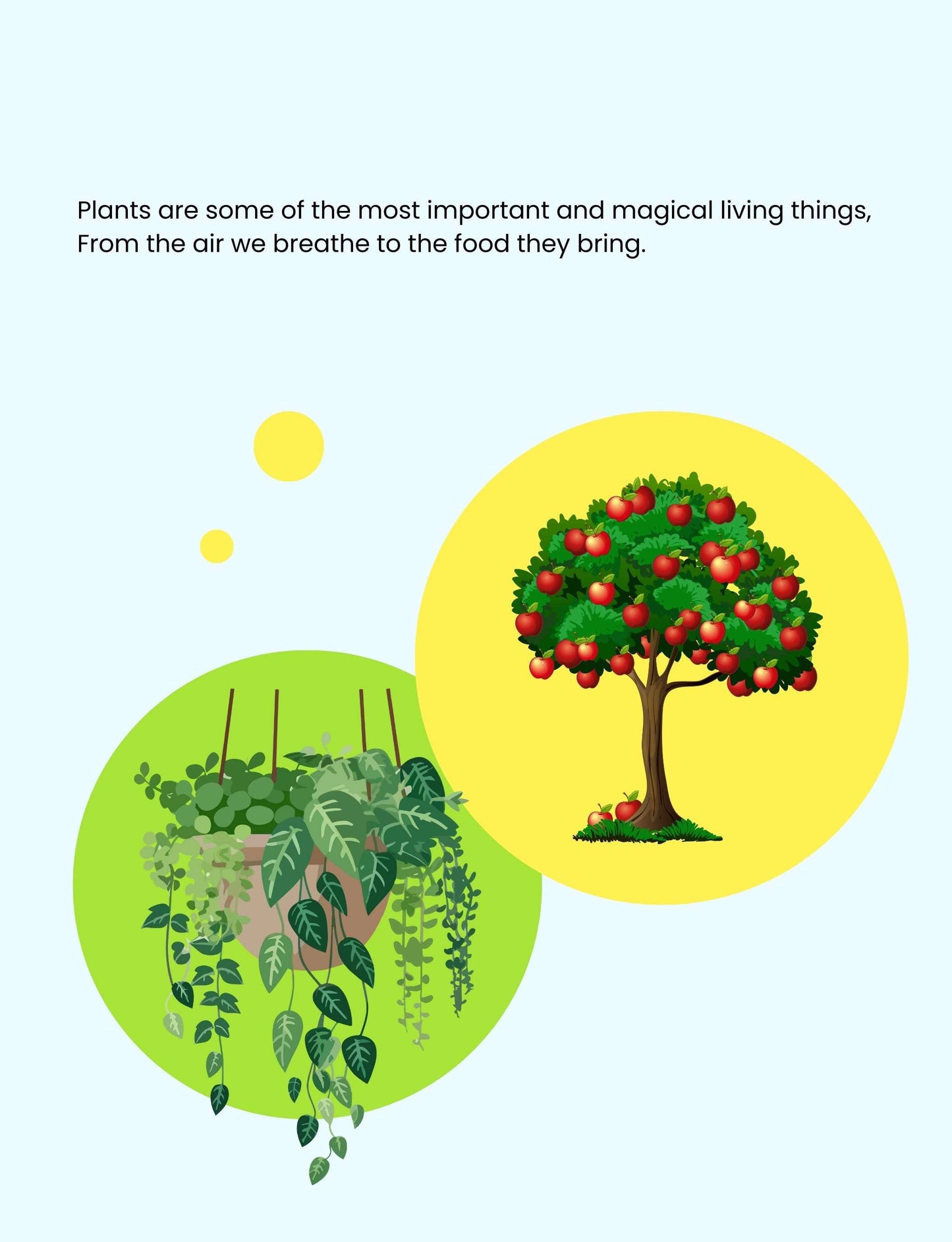 Hello Plants- Educational Colouring Book.