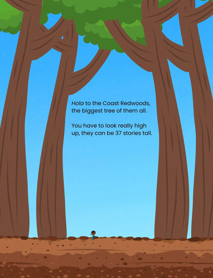 Hello Plants- Educational Colouring Book.