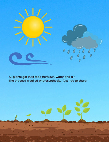 Hello Plants- Educational Colouring Book.