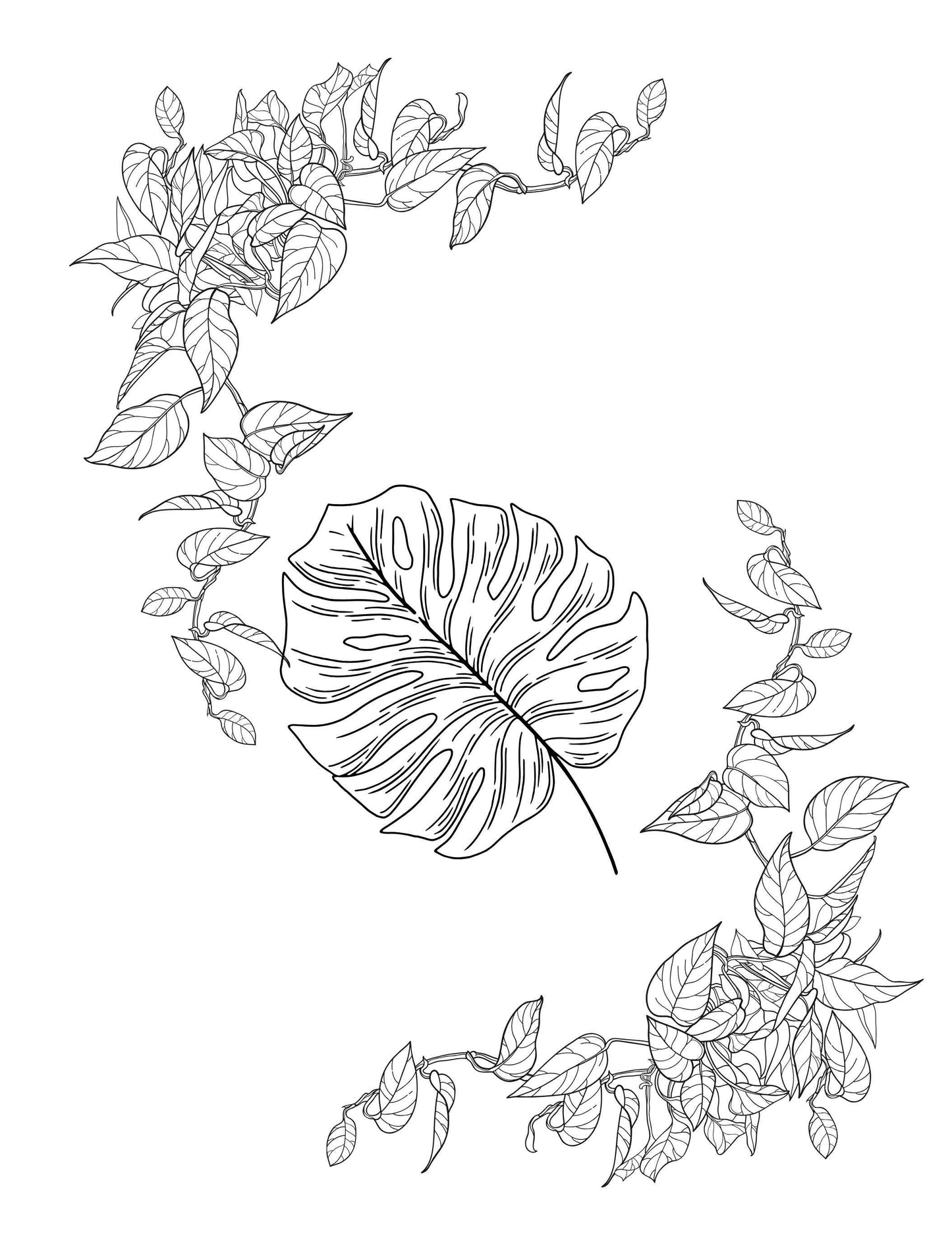 Hello Plants- Educational Colouring Book.