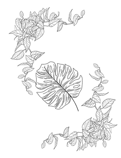 Hello Plants- Educational Colouring Book.