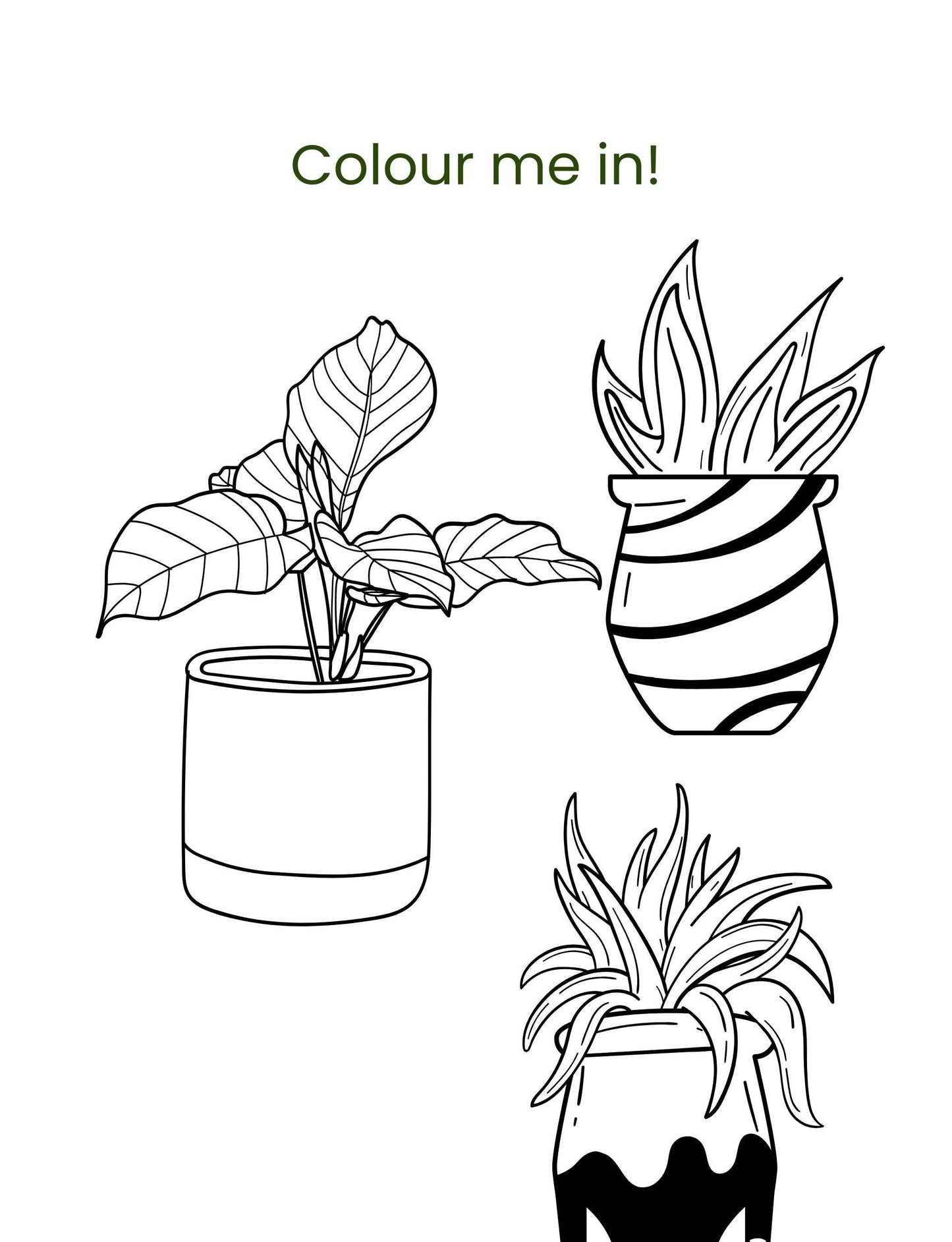 Hello Plants- Educational Colouring Book.