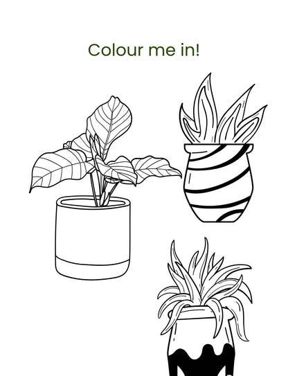Hello Plants- Educational Colouring Book.