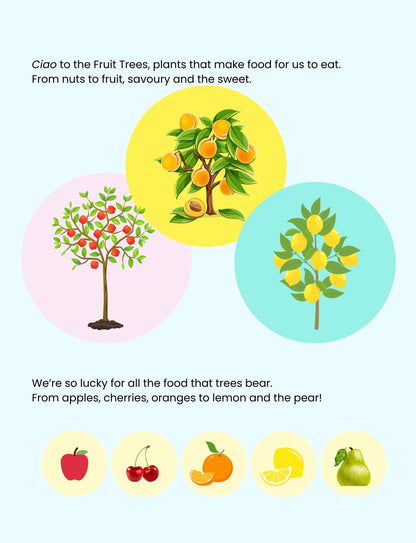 Hello Plants- Educational Colouring Book.