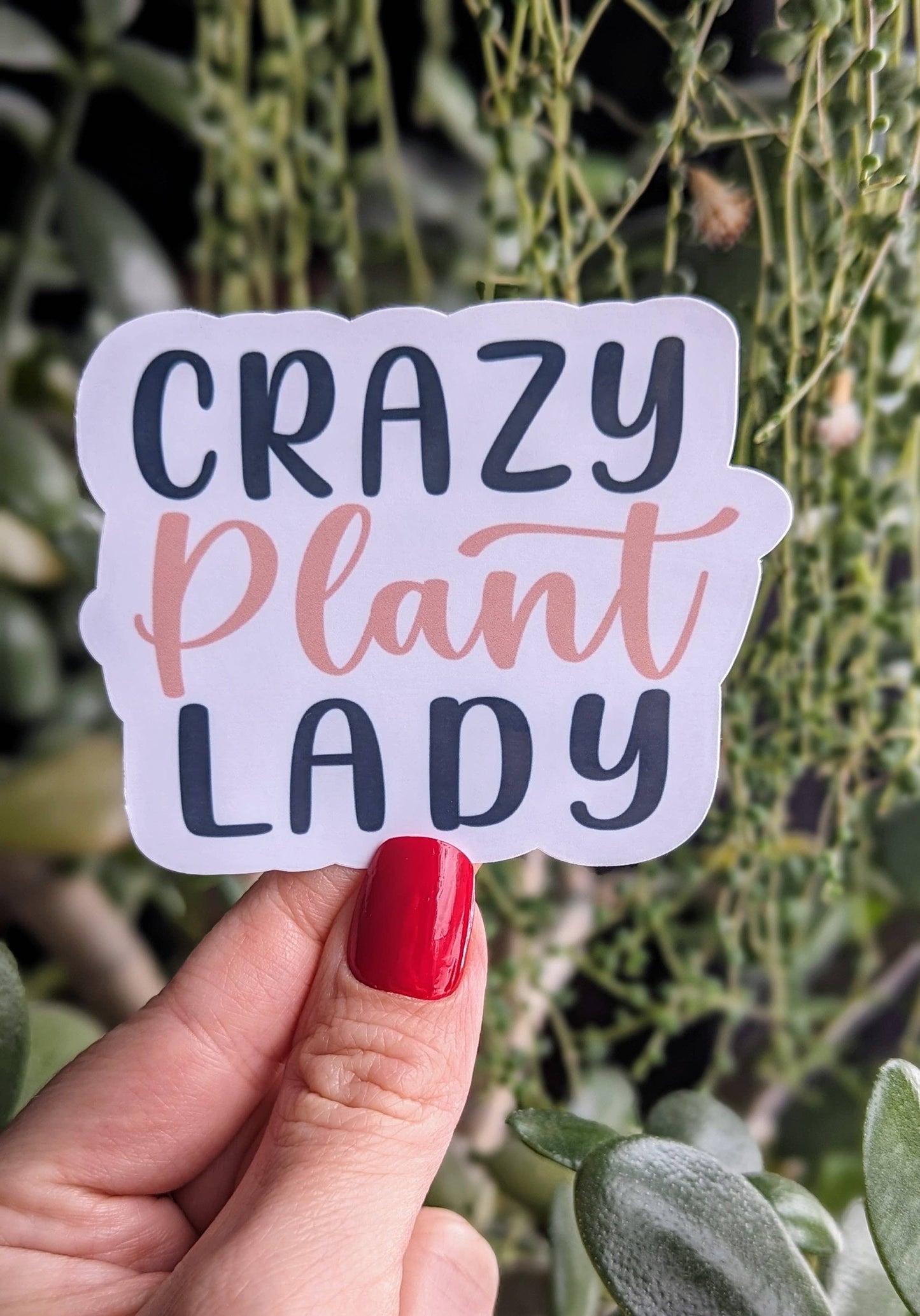 Crazy plant lady vinyl sticker, plant store merch