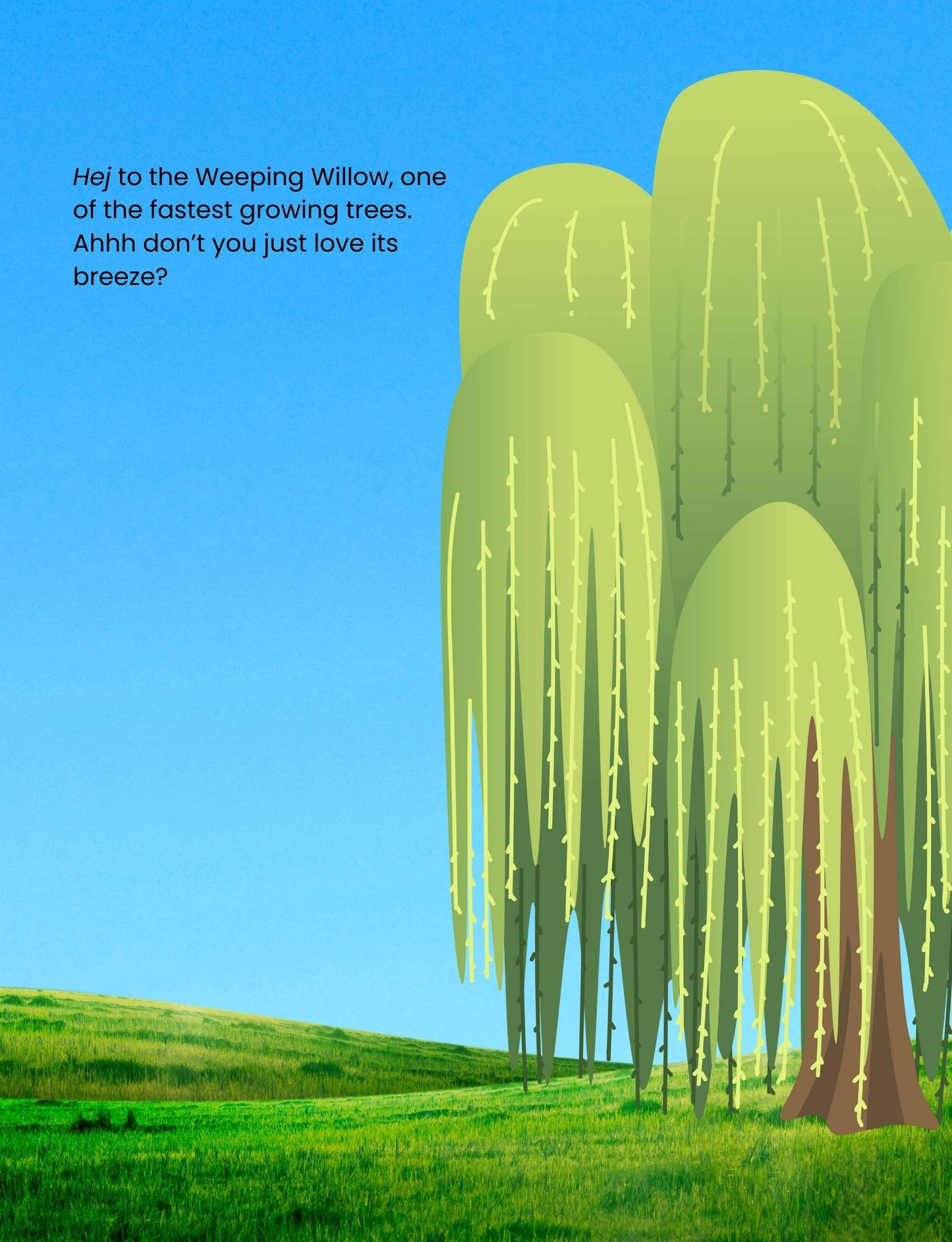 Hello Plants- Educational Colouring Book.