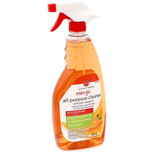 ALL PURPOSE CLEANER