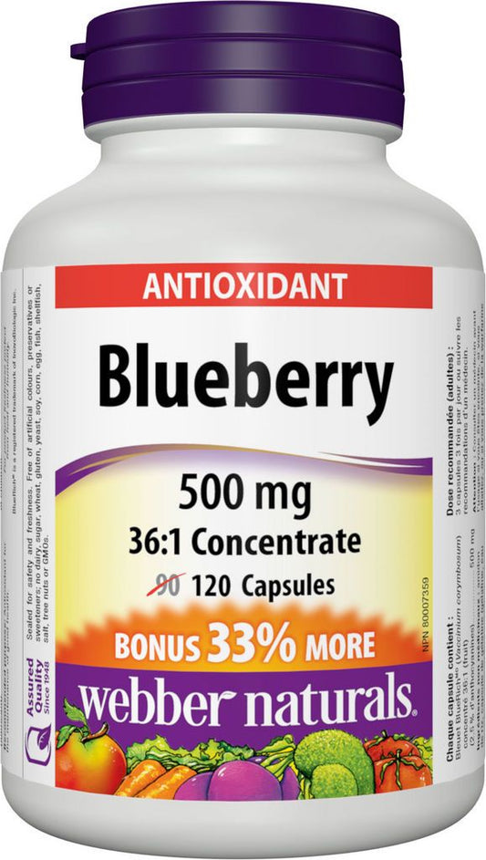 BLUEBERRY CONCENTRATE (500MG)