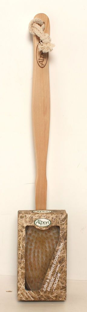 STIMULATING BODY BRUSH