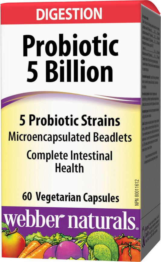 PROBIOTIC MULTI-STRAIN