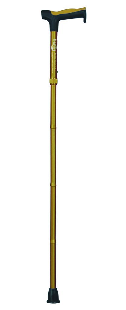 FOLDING CANE