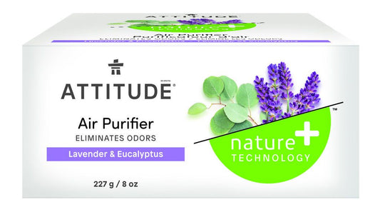 NATURAL AIR PURIFIER
