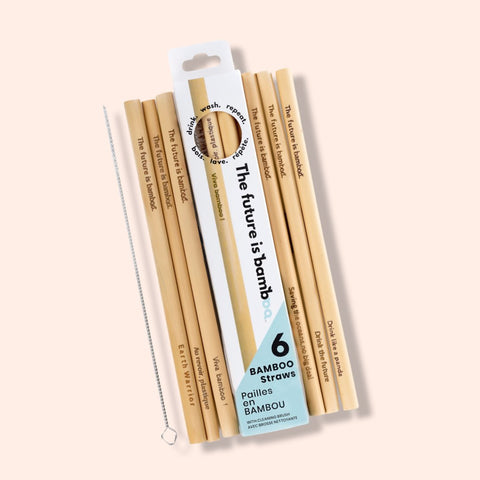 BAMBOO STRAWS WITH CLEANING BRUSH