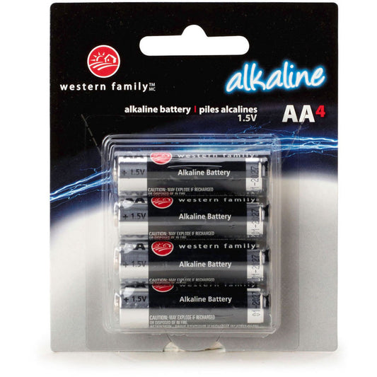 AA BATTERIES